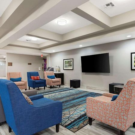 Comfort Inn & Suites Near Medical Center Σαν Αντόνιο Εξωτερικό φωτογραφία