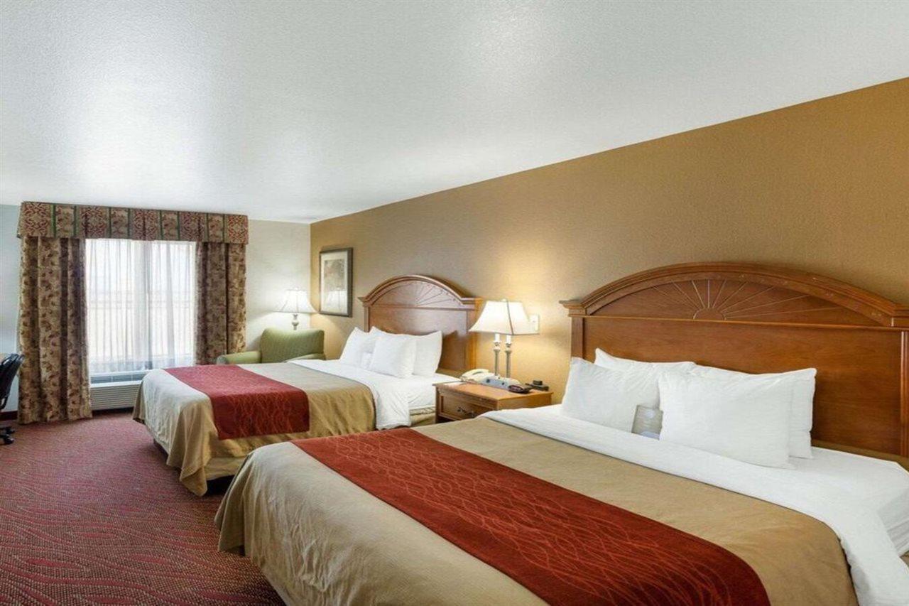 Comfort Inn & Suites Near Medical Center Σαν Αντόνιο Εξωτερικό φωτογραφία