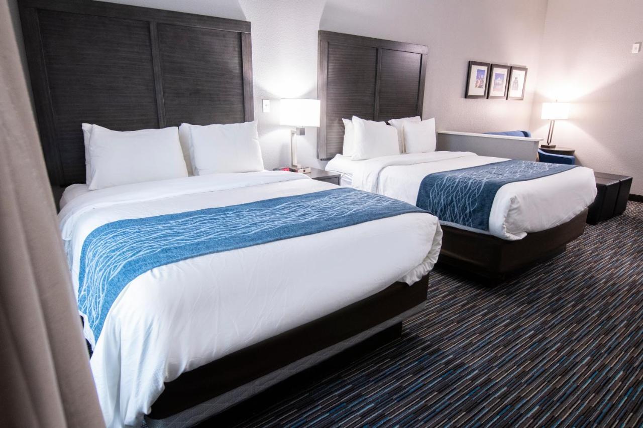 Comfort Inn & Suites Near Medical Center Σαν Αντόνιο Εξωτερικό φωτογραφία