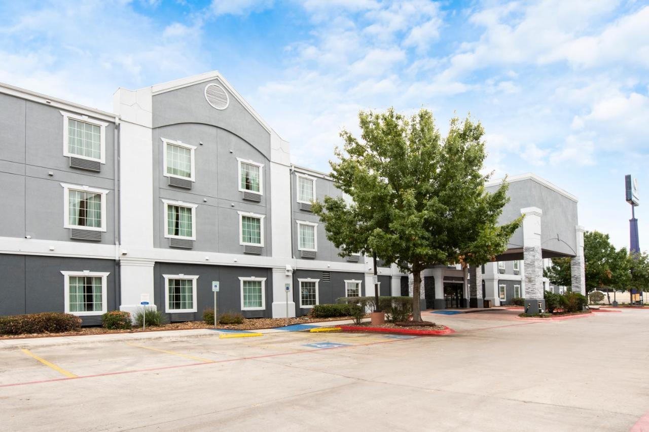 Comfort Inn & Suites Near Medical Center Σαν Αντόνιο Εξωτερικό φωτογραφία