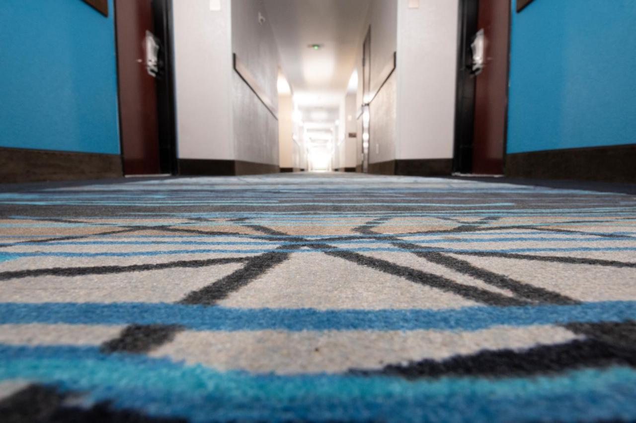 Comfort Inn & Suites Near Medical Center Σαν Αντόνιο Εξωτερικό φωτογραφία