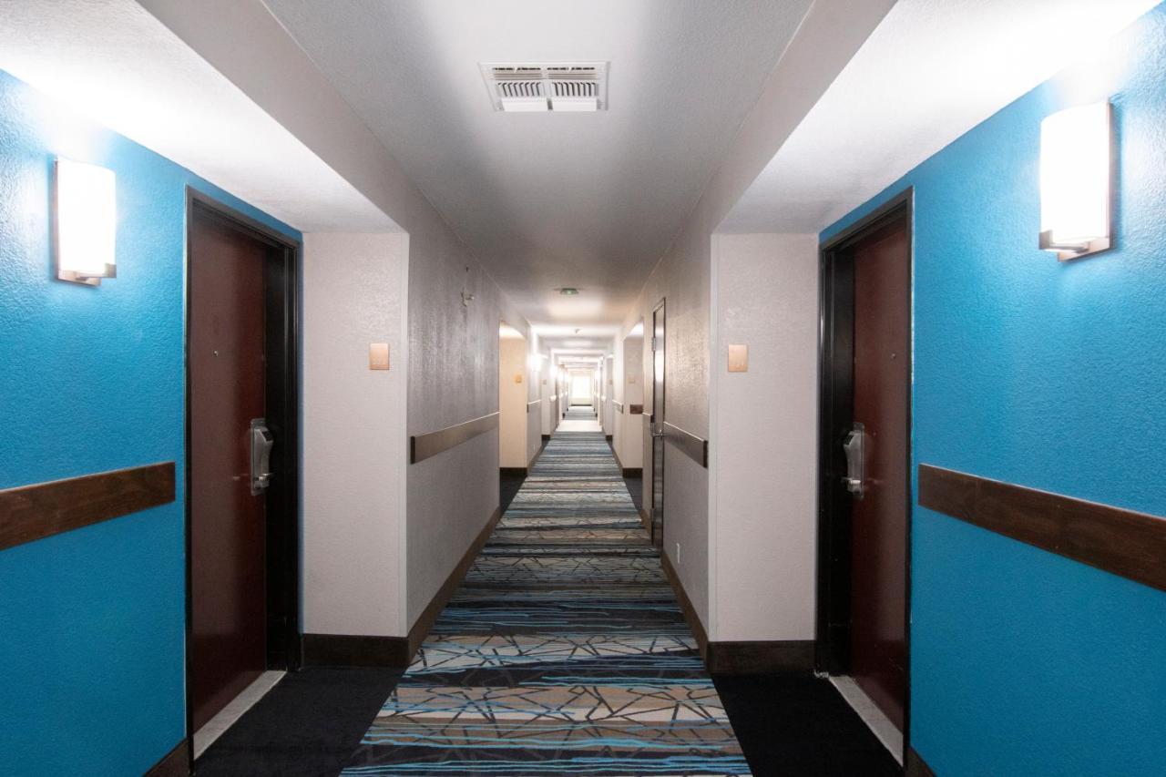 Comfort Inn & Suites Near Medical Center Σαν Αντόνιο Εξωτερικό φωτογραφία