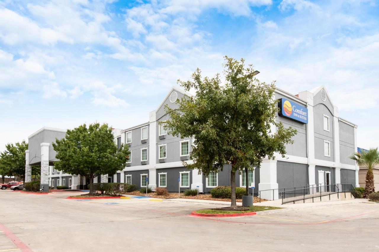 Comfort Inn & Suites Near Medical Center Σαν Αντόνιο Εξωτερικό φωτογραφία