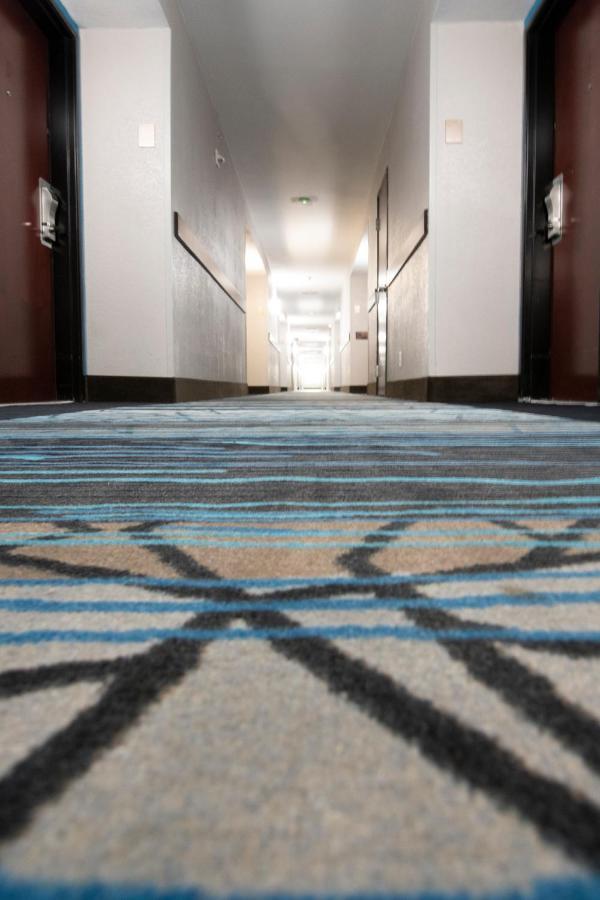 Comfort Inn & Suites Near Medical Center Σαν Αντόνιο Εξωτερικό φωτογραφία