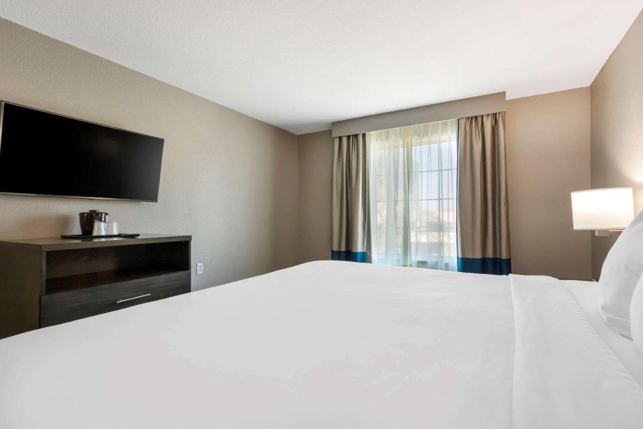 Comfort Inn & Suites Near Medical Center Σαν Αντόνιο Εξωτερικό φωτογραφία