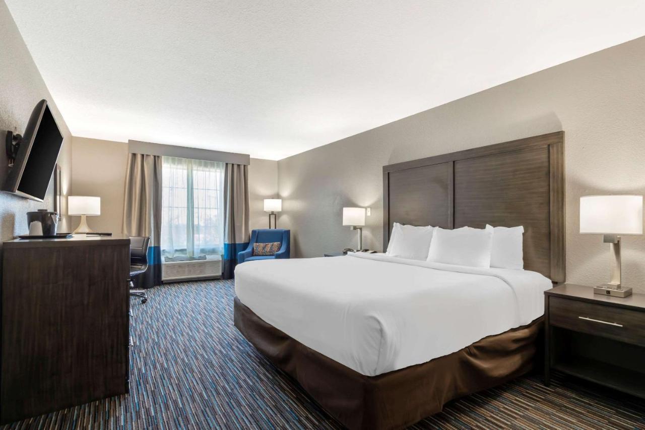Comfort Inn & Suites Near Medical Center Σαν Αντόνιο Εξωτερικό φωτογραφία
