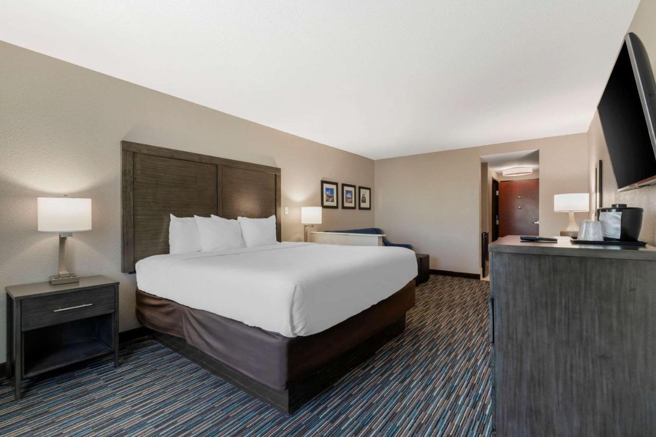 Comfort Inn & Suites Near Medical Center Σαν Αντόνιο Εξωτερικό φωτογραφία