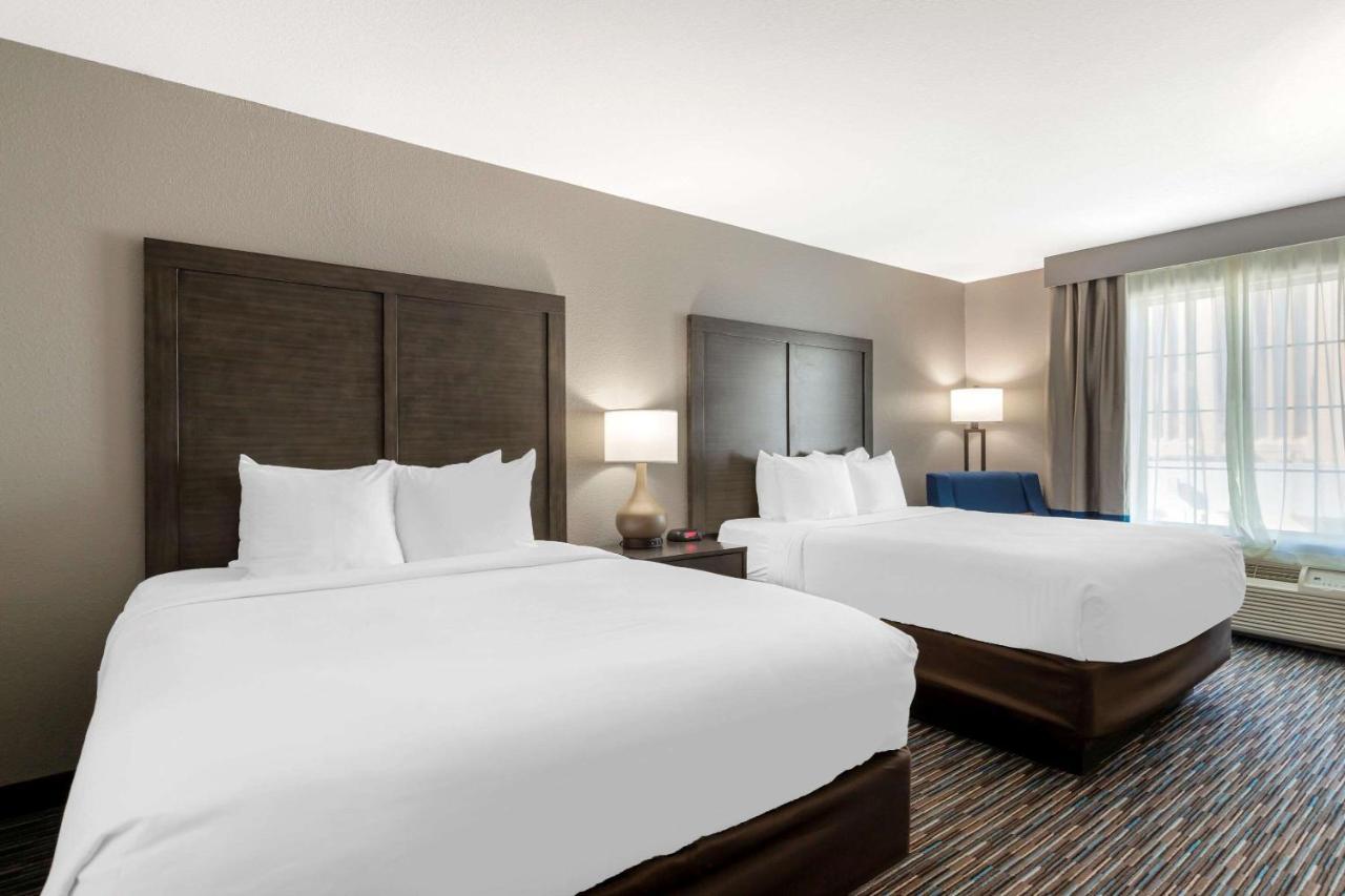 Comfort Inn & Suites Near Medical Center Σαν Αντόνιο Εξωτερικό φωτογραφία