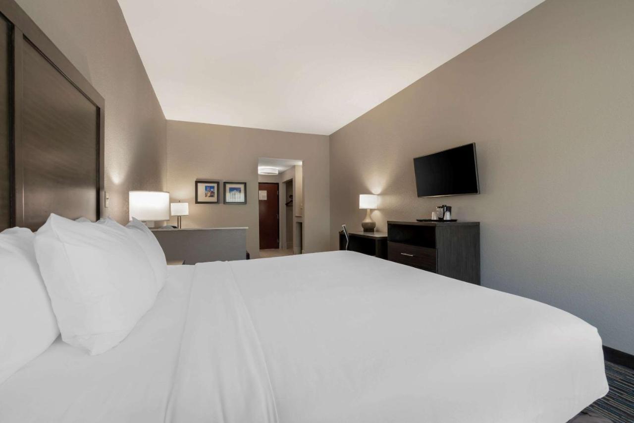 Comfort Inn & Suites Near Medical Center Σαν Αντόνιο Εξωτερικό φωτογραφία