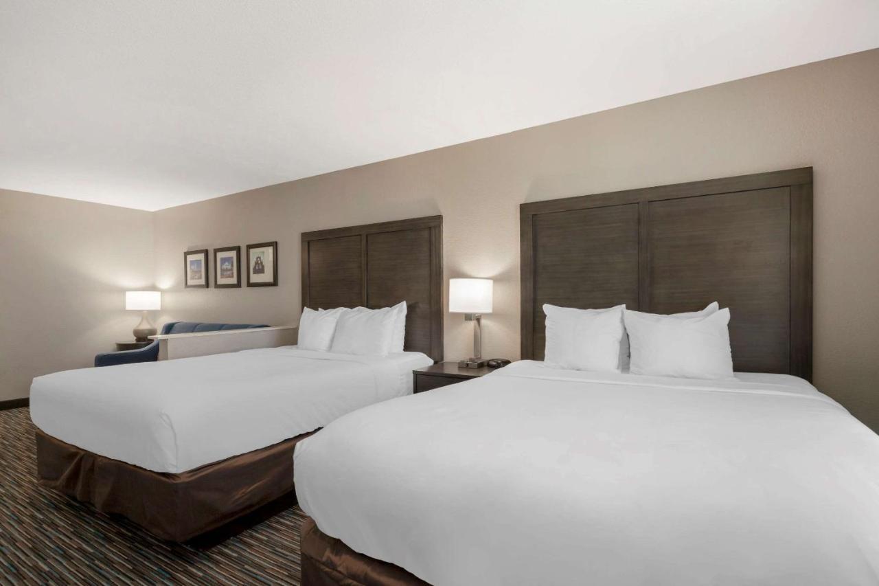 Comfort Inn & Suites Near Medical Center Σαν Αντόνιο Εξωτερικό φωτογραφία