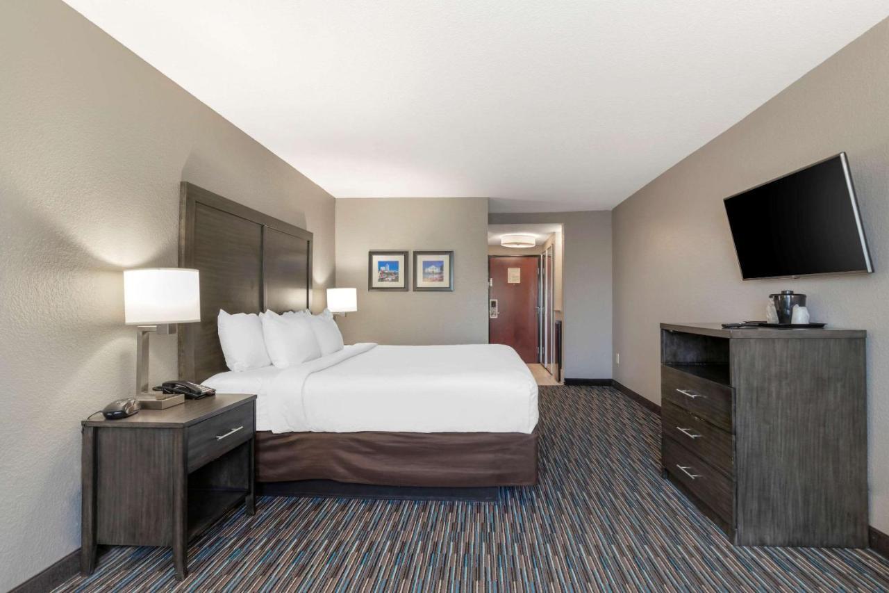Comfort Inn & Suites Near Medical Center Σαν Αντόνιο Εξωτερικό φωτογραφία