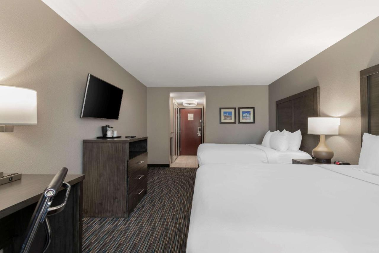 Comfort Inn & Suites Near Medical Center Σαν Αντόνιο Εξωτερικό φωτογραφία