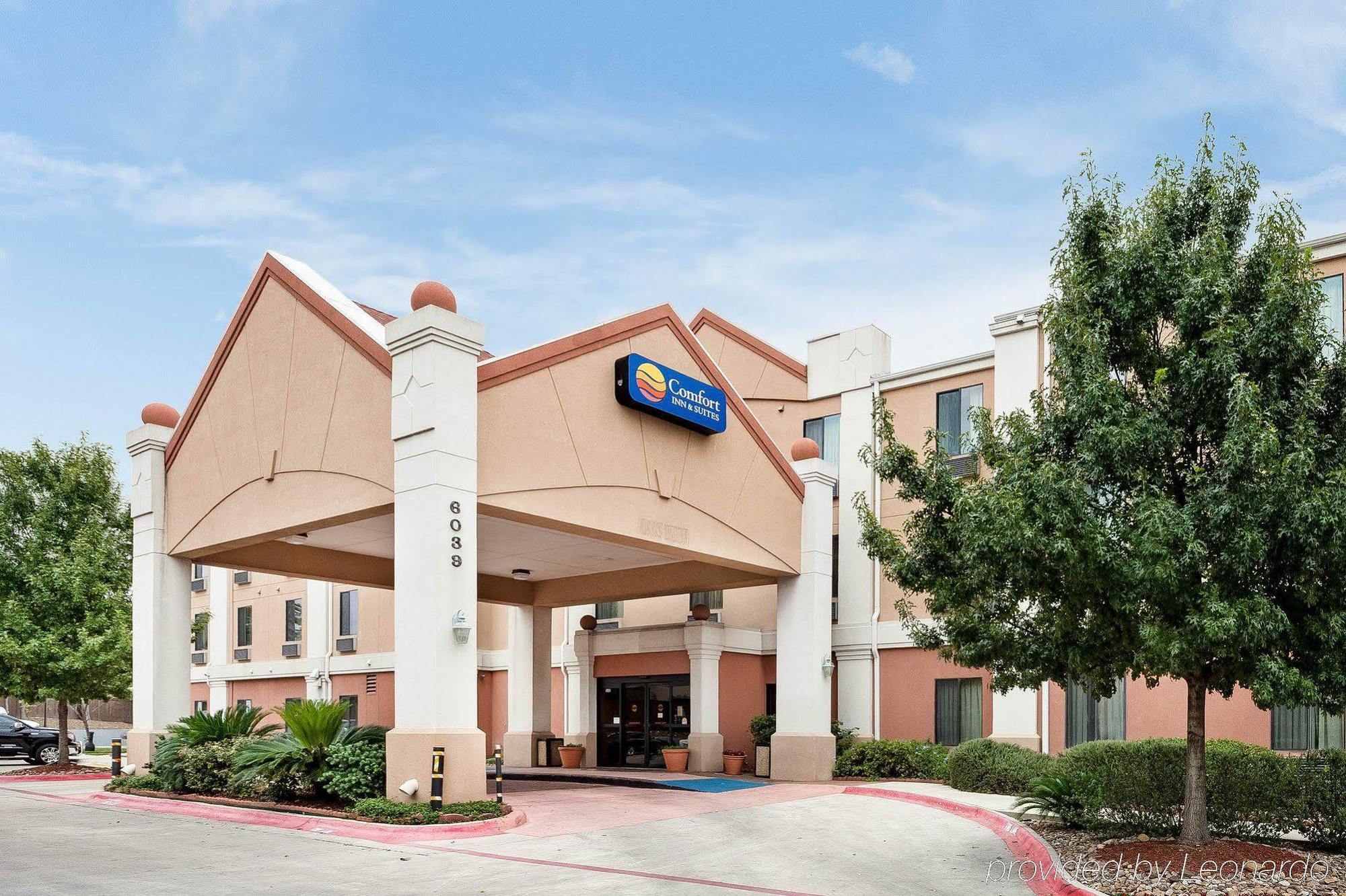 Comfort Inn & Suites Near Medical Center Σαν Αντόνιο Εξωτερικό φωτογραφία
